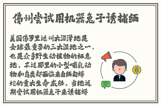 小yoyo萝li 交精品视频